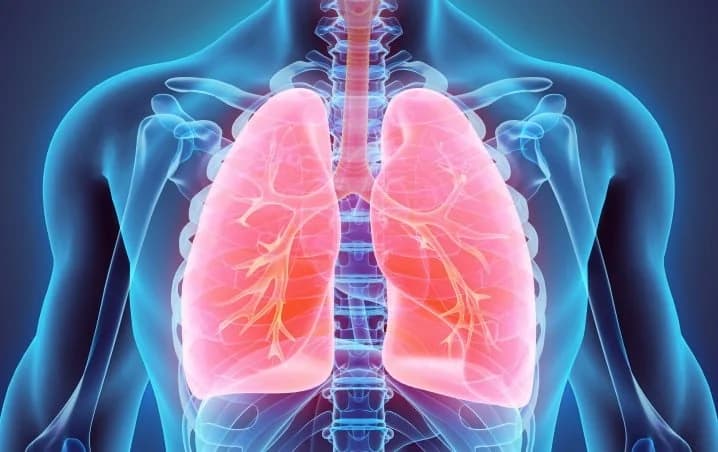 Smoking Cessation and Lung Health Program