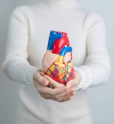 Woman holding human Heart model. Cardiovascular Diseases, Atherosclerosis, Hypertensive Heart, Valvular Heart, Aortopulmonary window, world Heart day and health concept