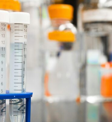 pexels-mediocrememories-954585