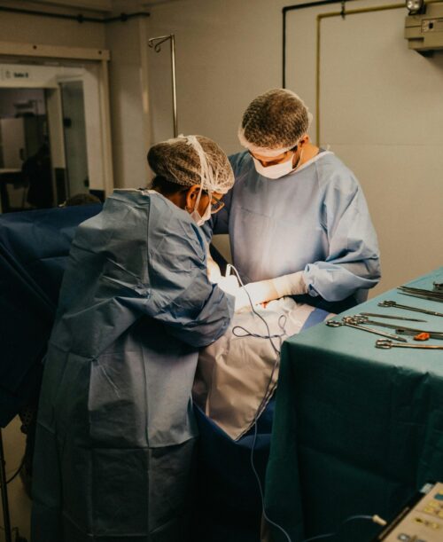 pexels-jonathanborba-3259624